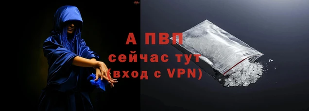 ECSTASY Баксан