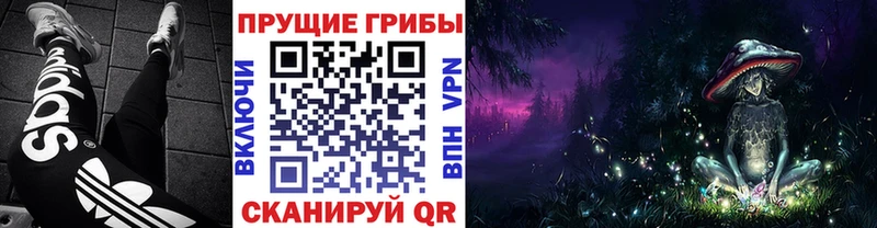 Галлюциногенные грибы мухоморы  Электросталь 